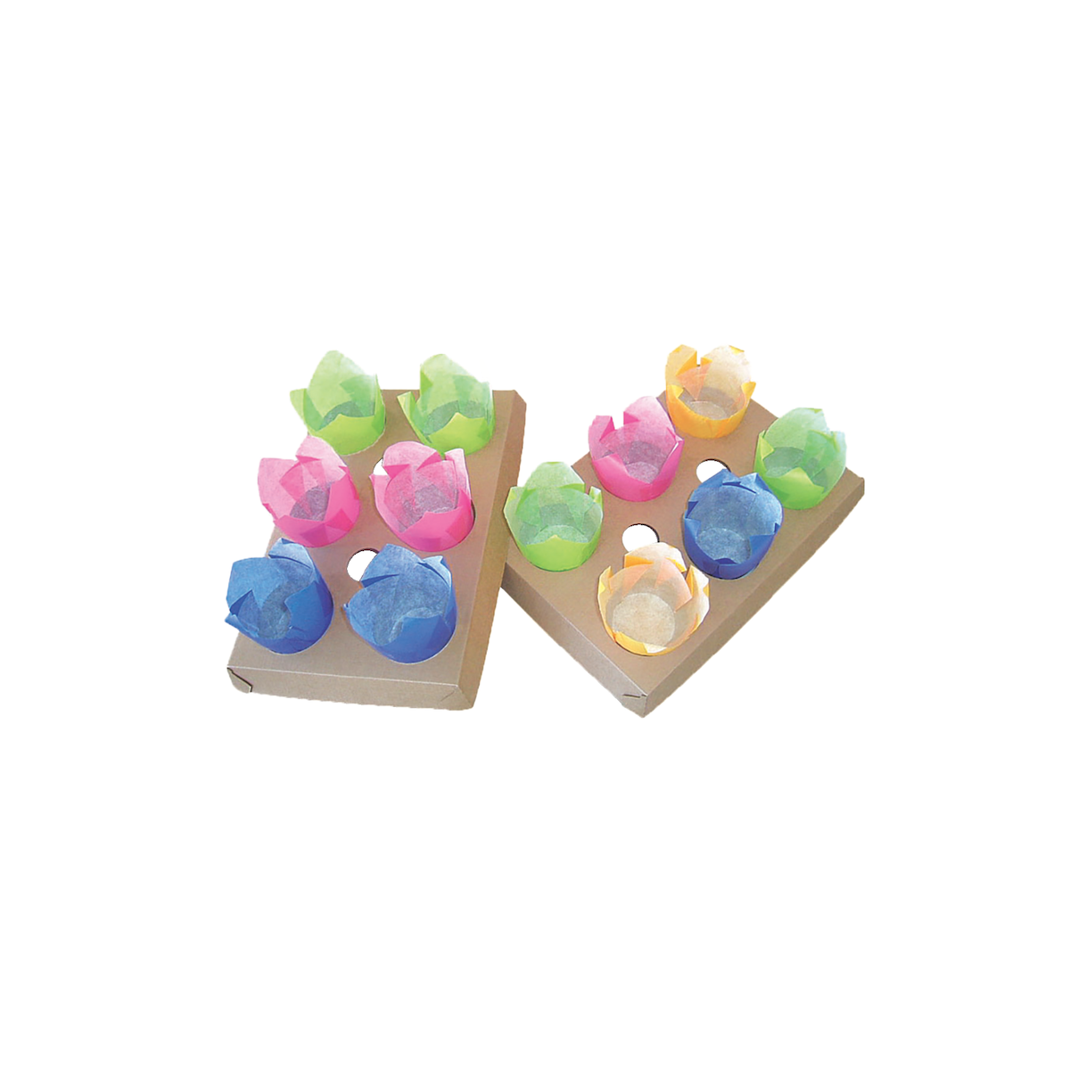 CAISSETTES TULIPE AVEC PLATEAU