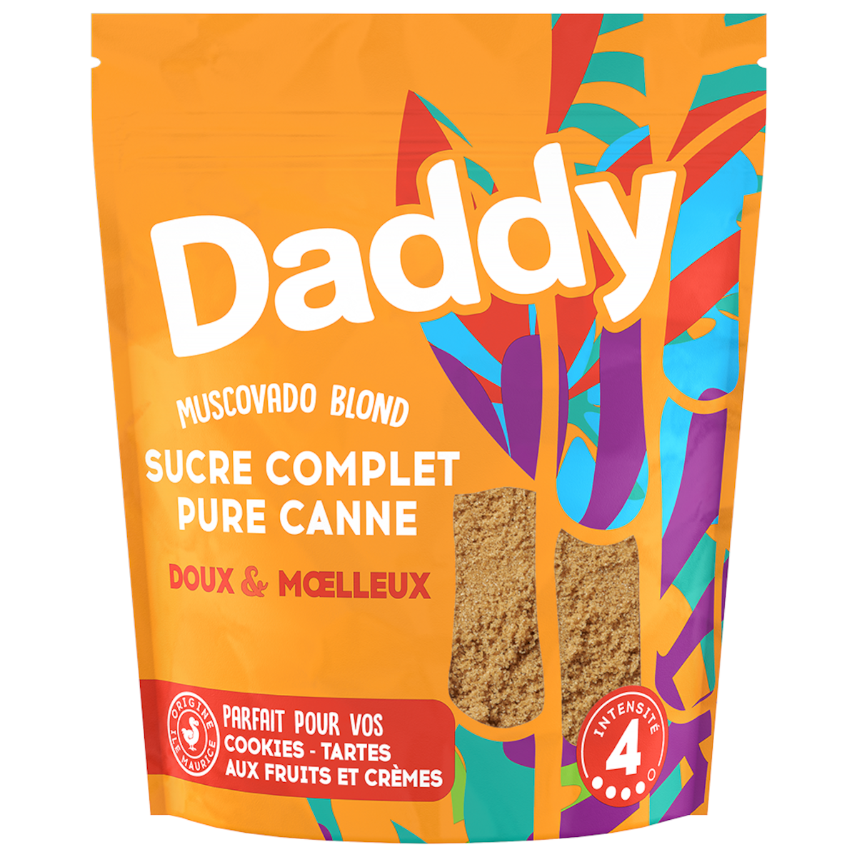 SUCRE MUSCOVADO BLOND 500G